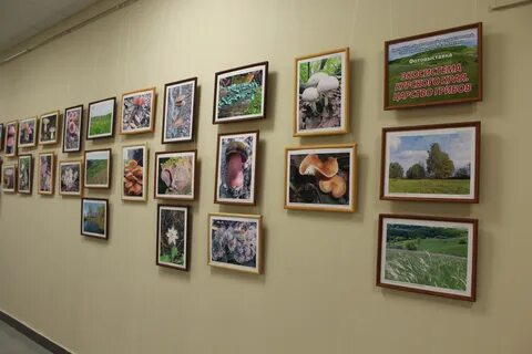 На фотовыставке представлены фотографии