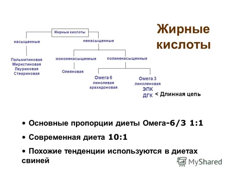 Насыщенные жирные кислоты что это