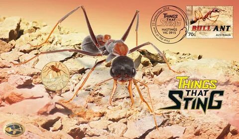 Ant монета