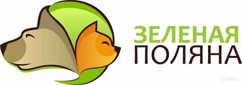 Магазины зеленая поляна