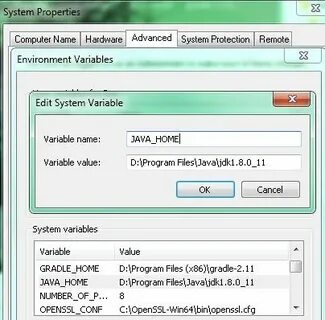 Gradle environment variables