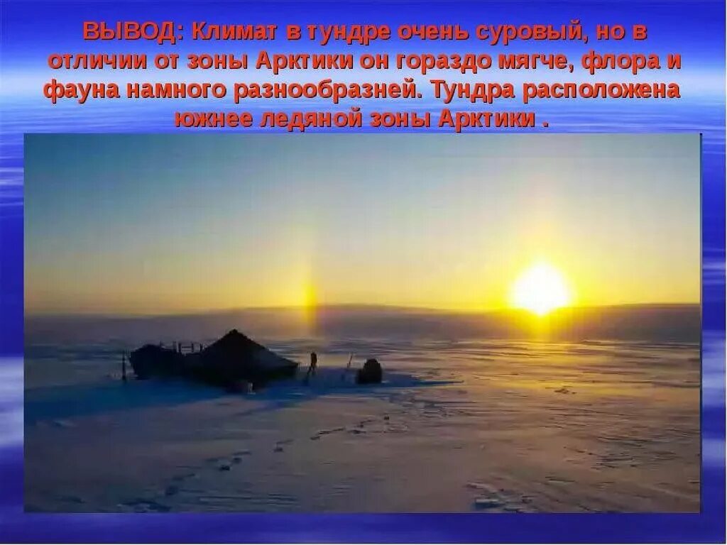 Тундра факторы. Лимитирующие факторы в пустыне. Лимитирующие факторы тундры. Причины растительности тундровой зоны. Климатические условия тундры.