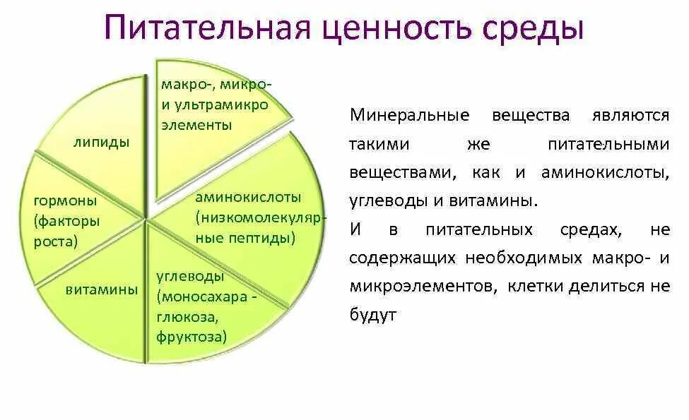 Микро макро предприятия. Микро и макро факторы. микро и макро среда организации окружения. факторы микро и макросреды. макро и микро среда введение.