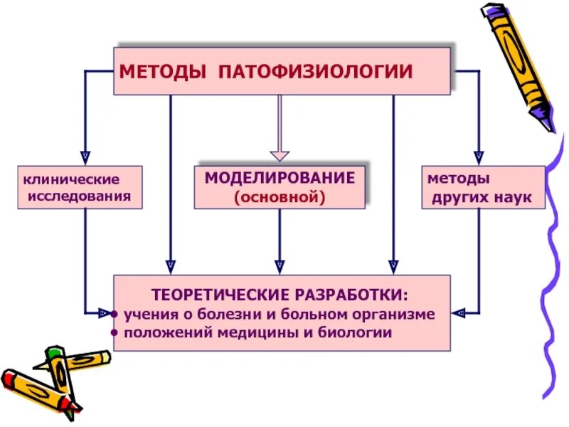 Моделирование болезней основной метод патофизиологии. Методы патофизиологии, экспериментальное моделирование болезней.. Методы исследования патологической физиологии. Методики эксперимента патофизиология.