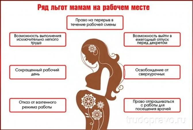 Декрет по беременности сколько лет. Декретный отпуск с какой недели. На какой неделе уходят в декрет. Когда уходят в декретный отпуск по беременности. Декретный отпуск с какого срока.