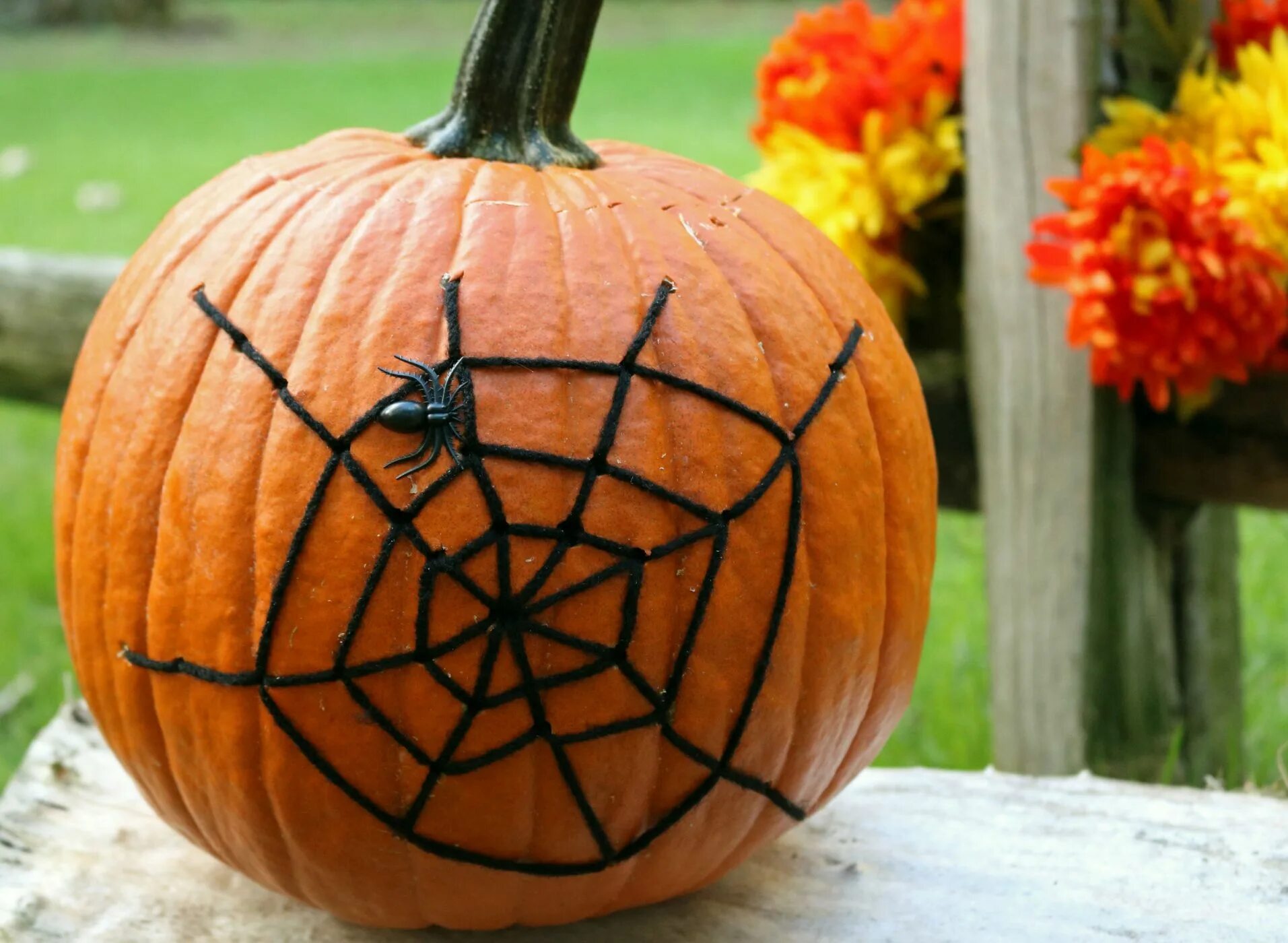 Мастер класс тыква на хэллоуин. Ферма тыкв. Тыква хэллоуин. Тыква баттернат на хэллоуин. Тыква крупноплодная хэллоуин.