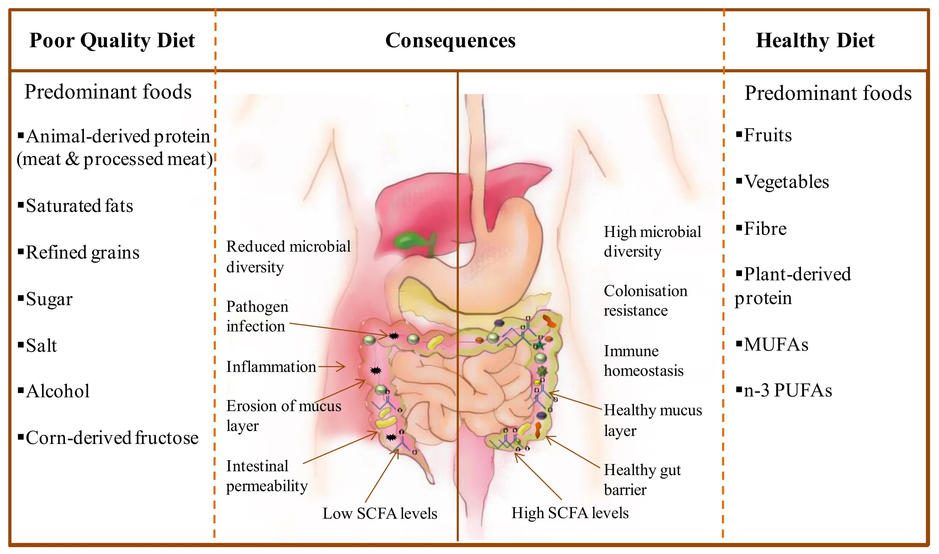 And as a consequence to. Consequences. consequences of improper nutrition. precision nutrition and the microbiome, part 1. poor nutrition.