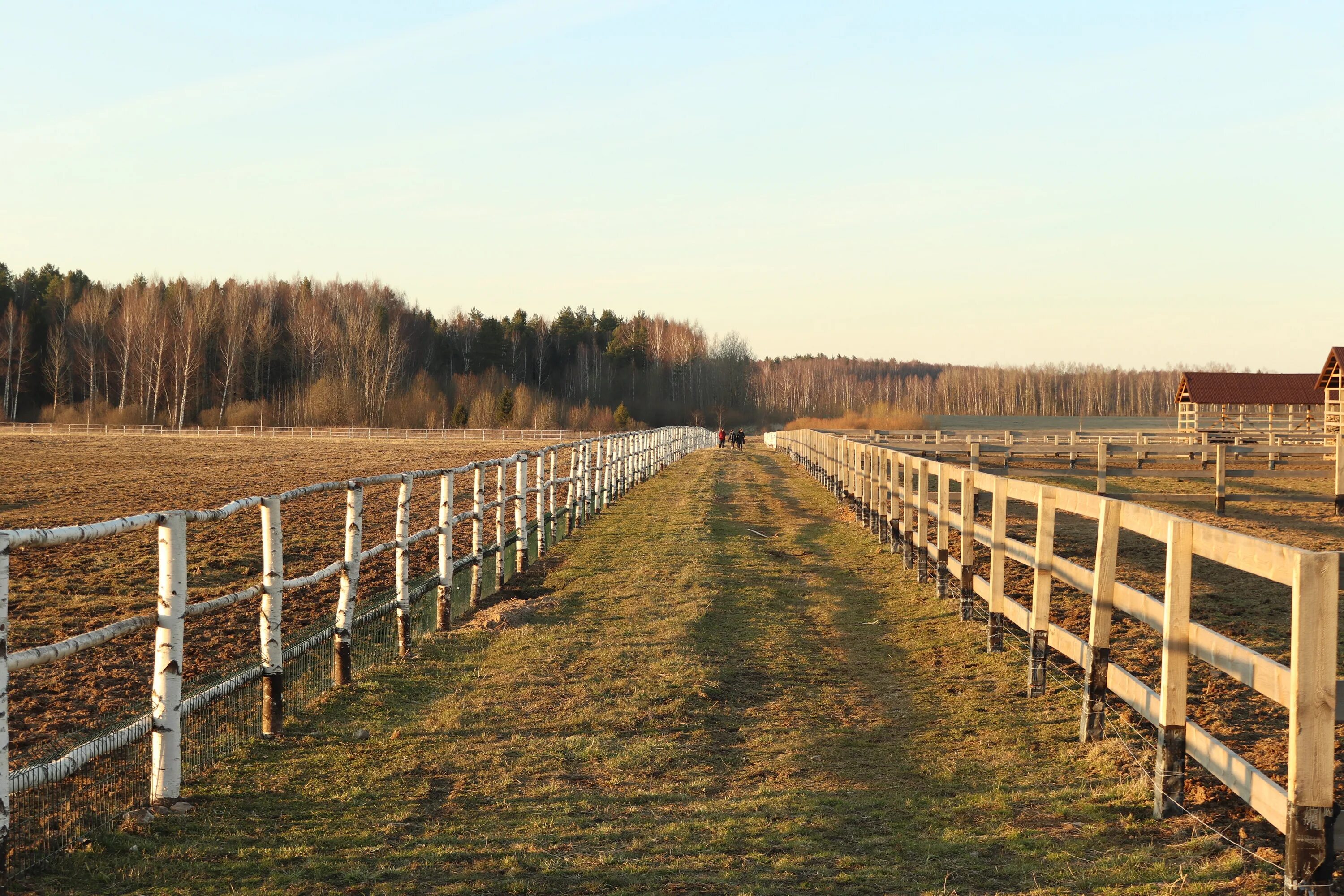 Кск мининский замок. Мининский замок конный клуб. Мининский замок гостиница. Мирский замок развалины. Мининский замок.