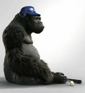 Mr go