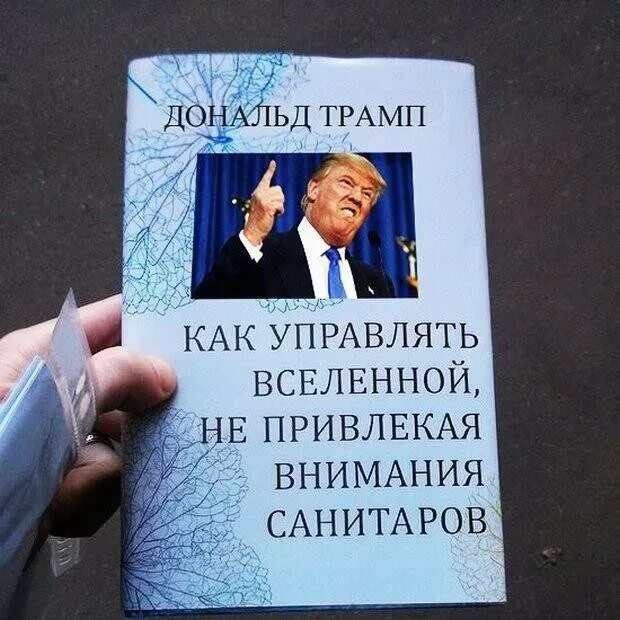 Не привлекая внимания санитаров. Как управлять Вселенной, не привлекая вни. Управлять Вселенной не привлекая внимания санитаров. Книга как управлять миром. Книга как управлять Вселенной.