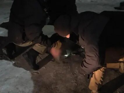 Задержание генерала волк