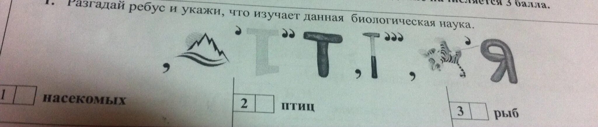 Разгадайте ребус. Разгадай ребус пейзаж. Разгадай ребусы и заполни схему. Ребус летопись. Ребус зона