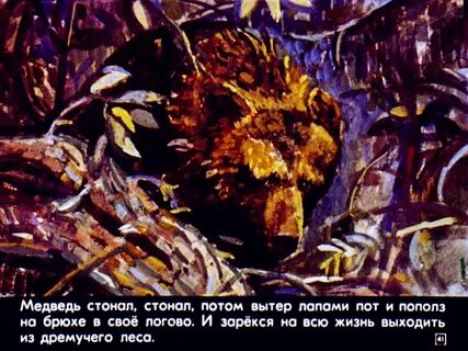 Дремучий медведь читательский дневник 4