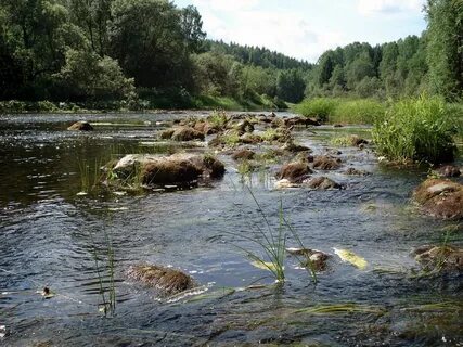 Подюга архангельская область