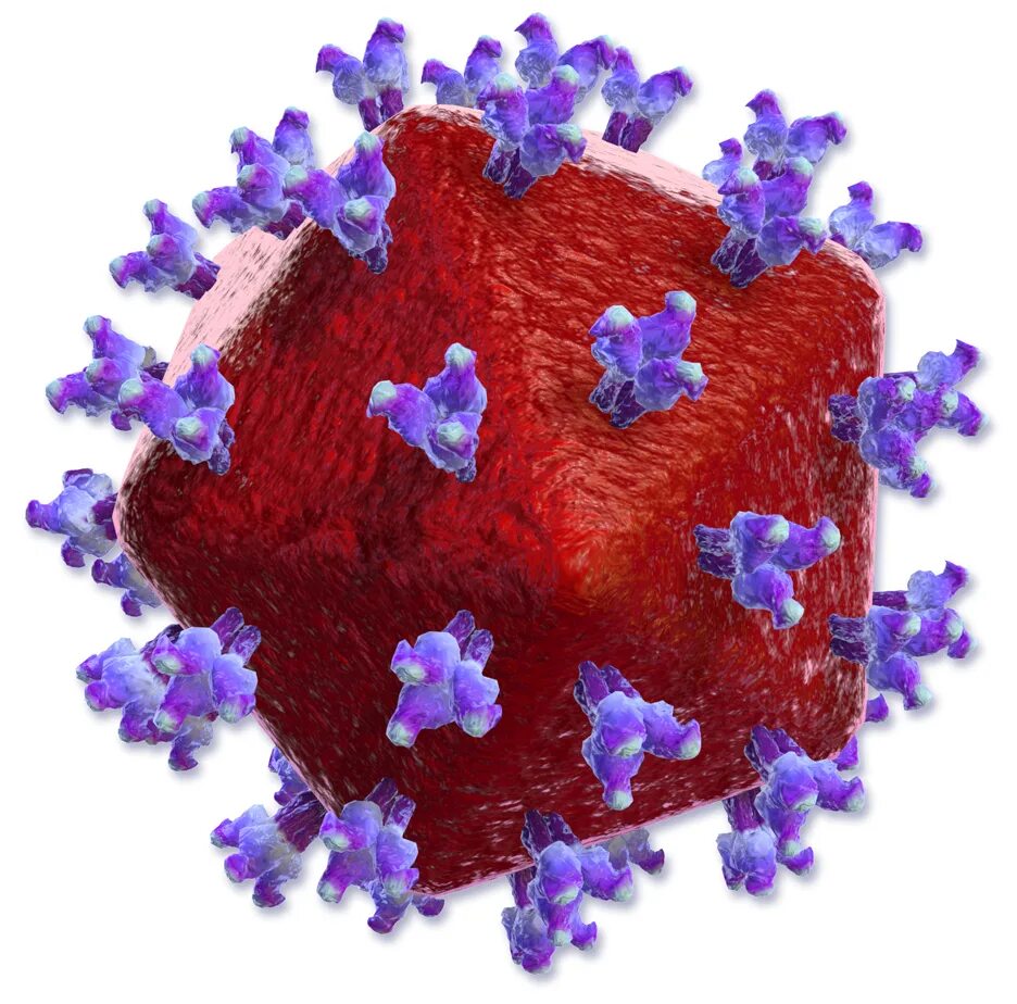 Вирус ВИЧ. HIV вирус. Вирус иммунодефицита человека (Human Immunodeficiency virus). ВИЧ бактерия.