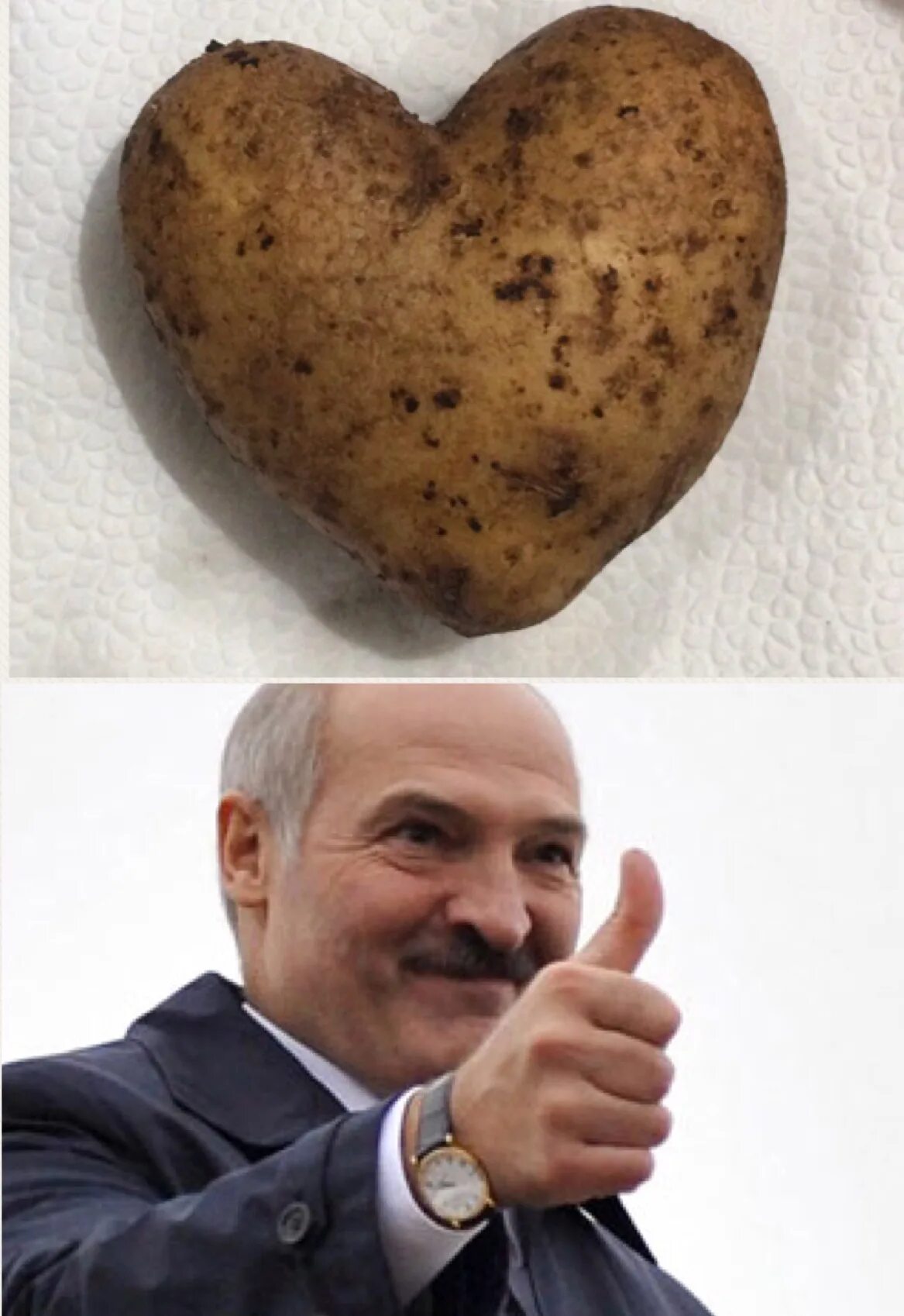 Мем с картошкой. Батька лукашенко картошка. лукашенко бульба. лукашенко мем картошка. мемы про лукашенко и картошку.