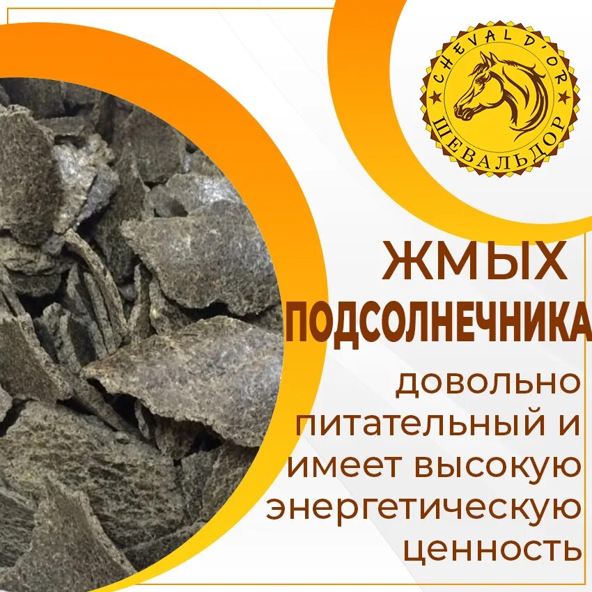 Можно ли курам давать подсолнух. Можно ли курам давать подсолнух