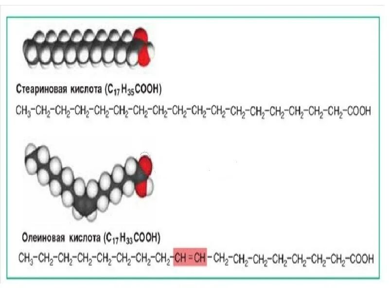 Олеиновая кислота стеариновая кислота реакция. Формула стеариновой кислоты в химии. Линолевая кислота стеариновая кислота реакция. Пальмитиновая кислота стеариновая кислота олеиновая кислота. Стеариновая кислота презентация