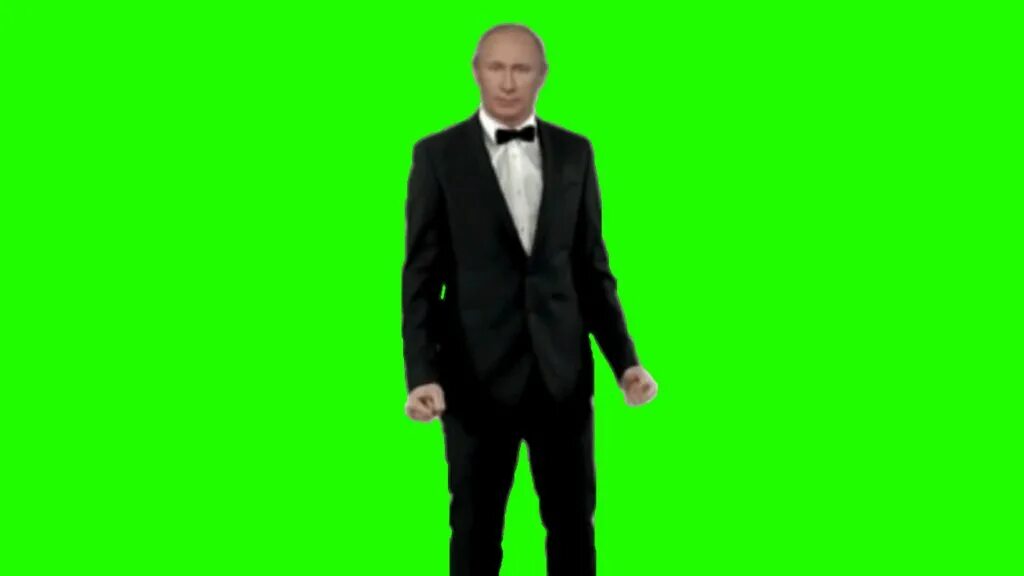 Кот хрустит хромакей. Путин на зеленом фоне. танцующий путин гиф. человек на зеленом фоне. путин хромакей.