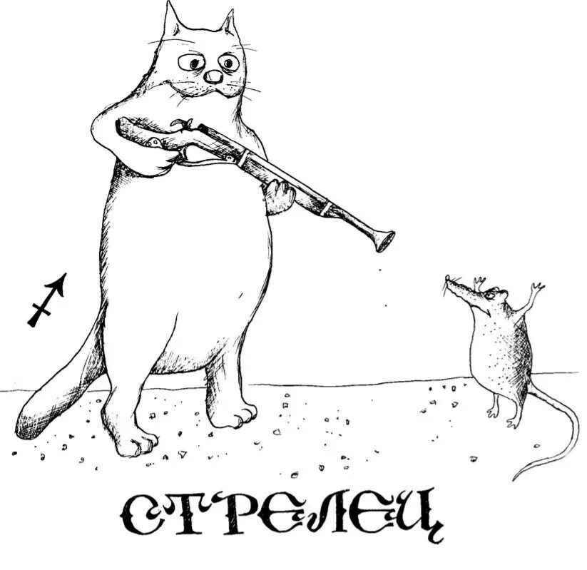 Кот стрелец гороскоп. Смешной стрелец. знаки зодиака смешные стрелец. стрелец карикатура. прикольные рисунки.