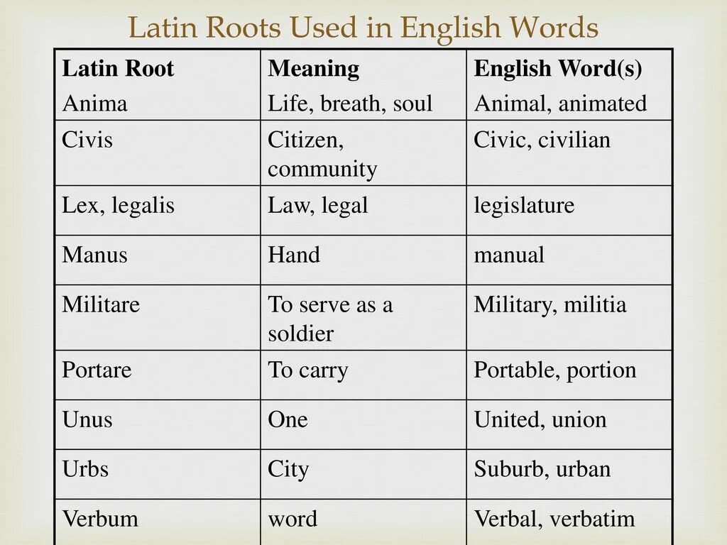 Latin roots in English. Latin Words in English. Latin and Greek roots. Greek borrowings in English. What do this word mean