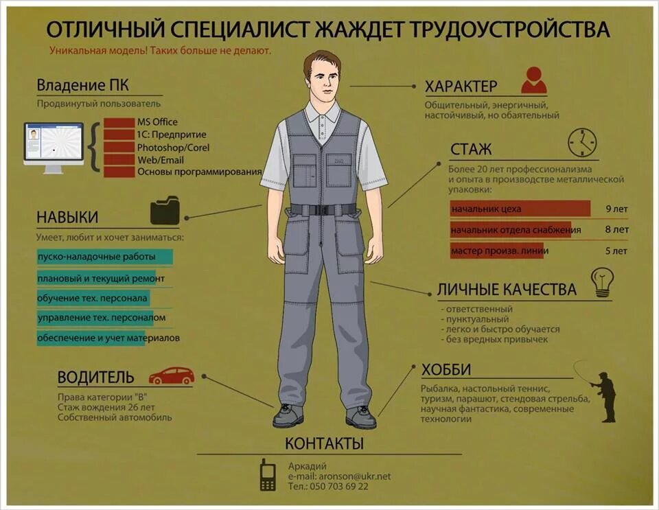 По мнению специалистов чаще всего используется резюме. Резюме инфографика. инфографика о себе. инфографика о себе примеры. резюме.инфо.