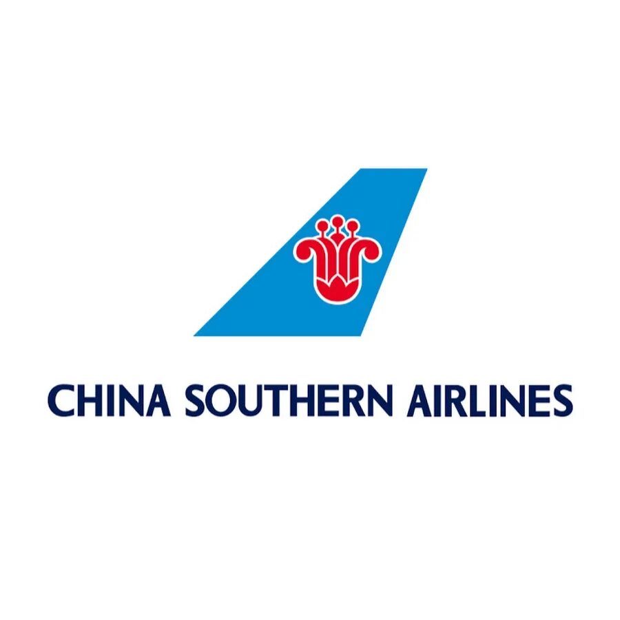 Южные авиалинии. China southern airlines в шереметьево. Чайна саузерн эйрлайнс форум винского. China southern airlines logo. China southern airlines cz 0683.