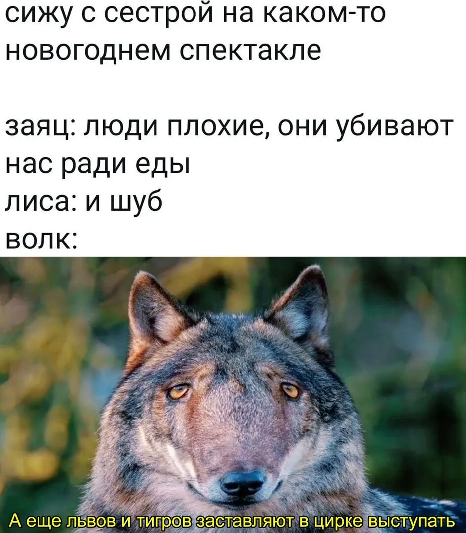 Не верь волку в овчарне значение. Не верь волку в овчарне значение