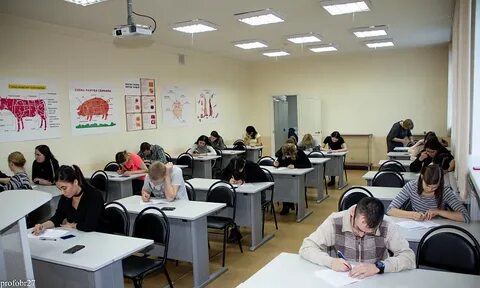 Хтк хабаровск