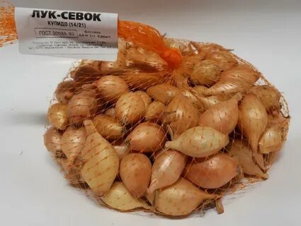 Лук севок 1 кг