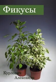 Фикусы книга