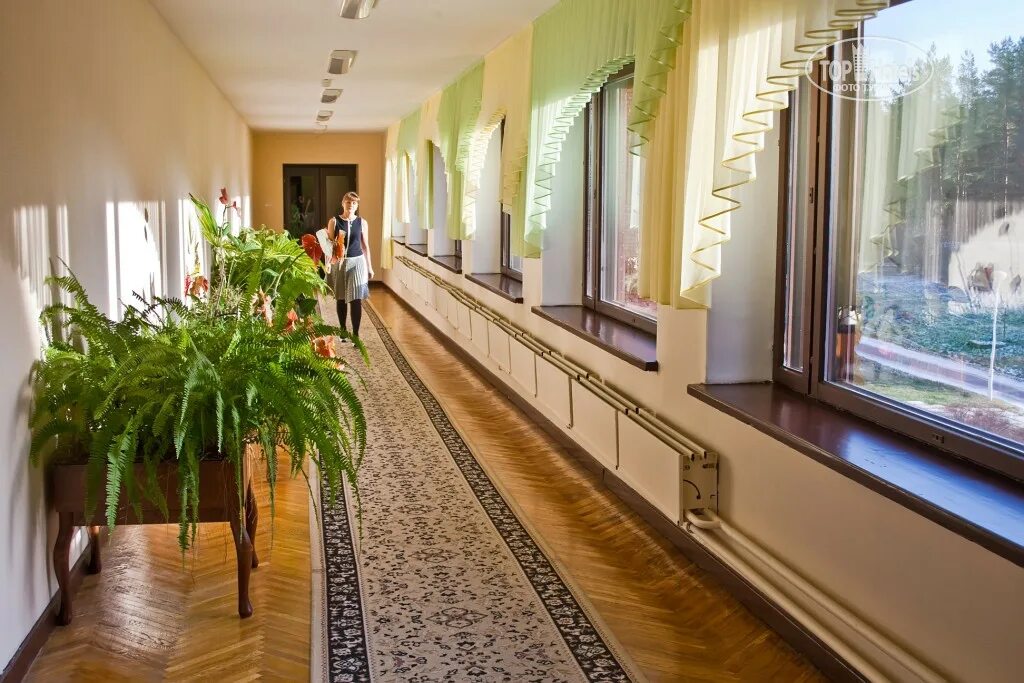 Санаторий белые ночи персонал. Санаторий белые ночи санкт-петербург. Санаторий белые ночи сестрорецк. , 572, зеленогорск. Вакансии санаториев санкт петербурга.