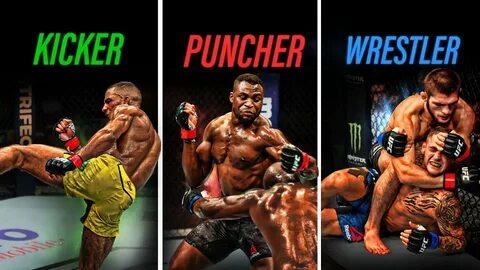 Fight styles