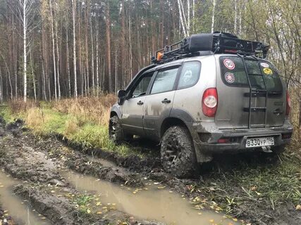 Нива карелии