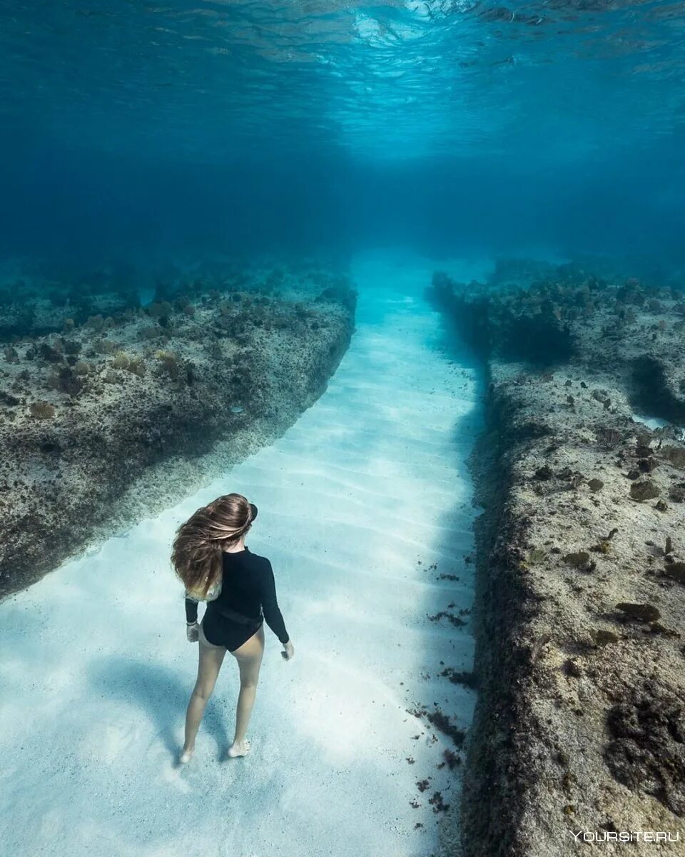 Жизнь в глубине моря. Андре Масгроув. Море под водой. Океан внутри. Океан под водой.