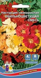 Настурция низкорослая смесь