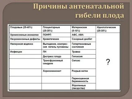 Антенатальная смертность