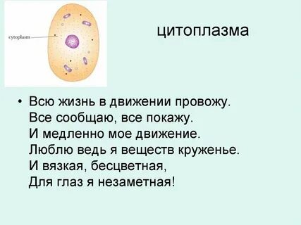 В цитоплазме всех живых организмов