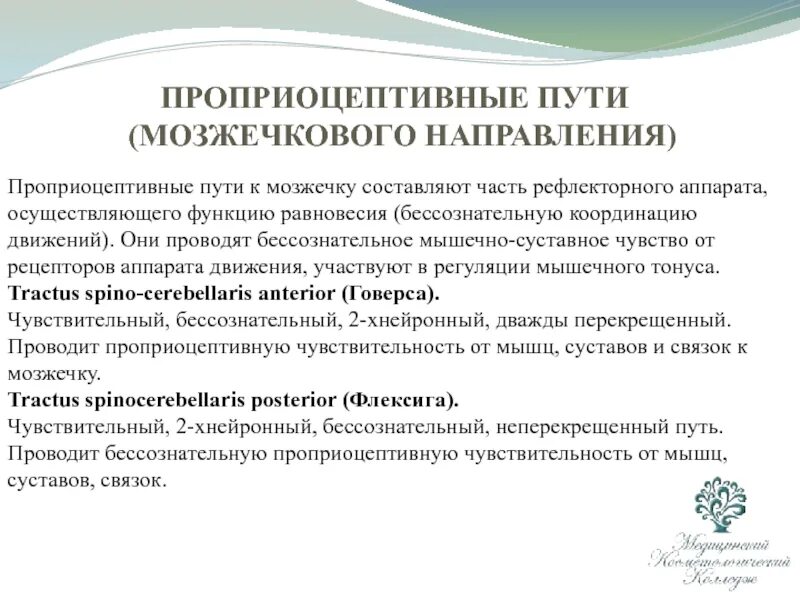 Направление координации