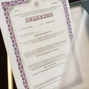 Золотая линия демьяна бедного 11