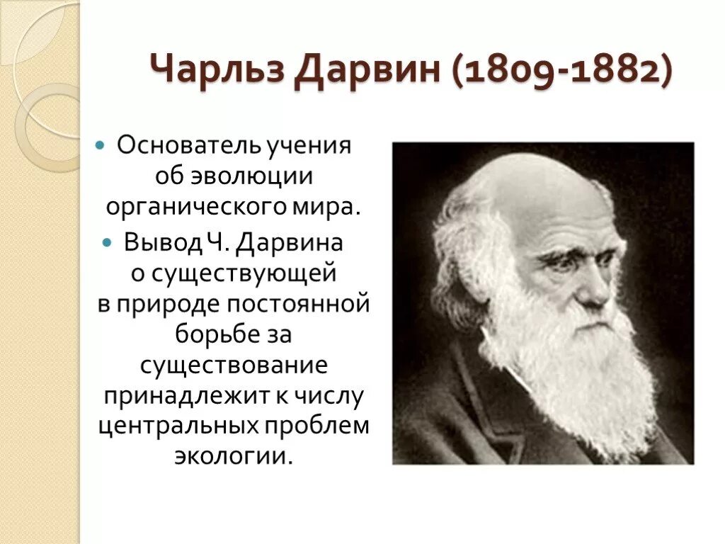 Основатель учения. Дарвин вклад в биологию. Чарлз Дарвин открытие в биологии. Чарльз Дарвин достижения в биологии. Чарлз Дарвин вклад в биологию кратко.