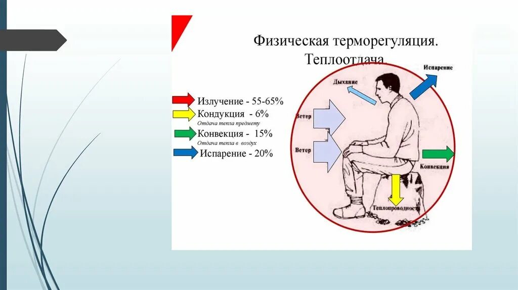 Конвекция человека. Физическая терморегуляция. Конвекция кондукция излучение испарение. Конвекция кондукция излучение. Кондукция тепла.