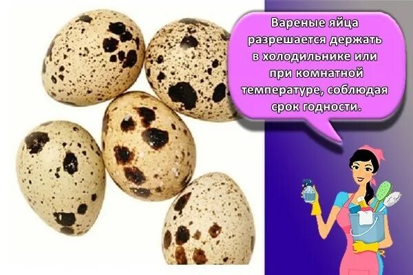 Сколько срок у яиц. Срок хранения перепелиных яиц. срок хранения вареных яиц. варёные яйца срок хранения в холодильнике. срок хранения домашних яиц в холодильнике.