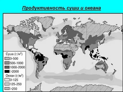 Распределение первичной продукции