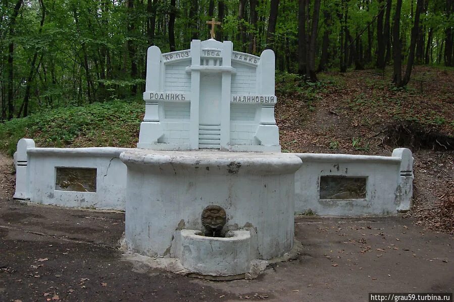 Минеральная вода калинов родник. Малиновый родник энгельс. Родник малиновая вода. Калинов родник спорт вода. Малиновый родник кумысная поляна.