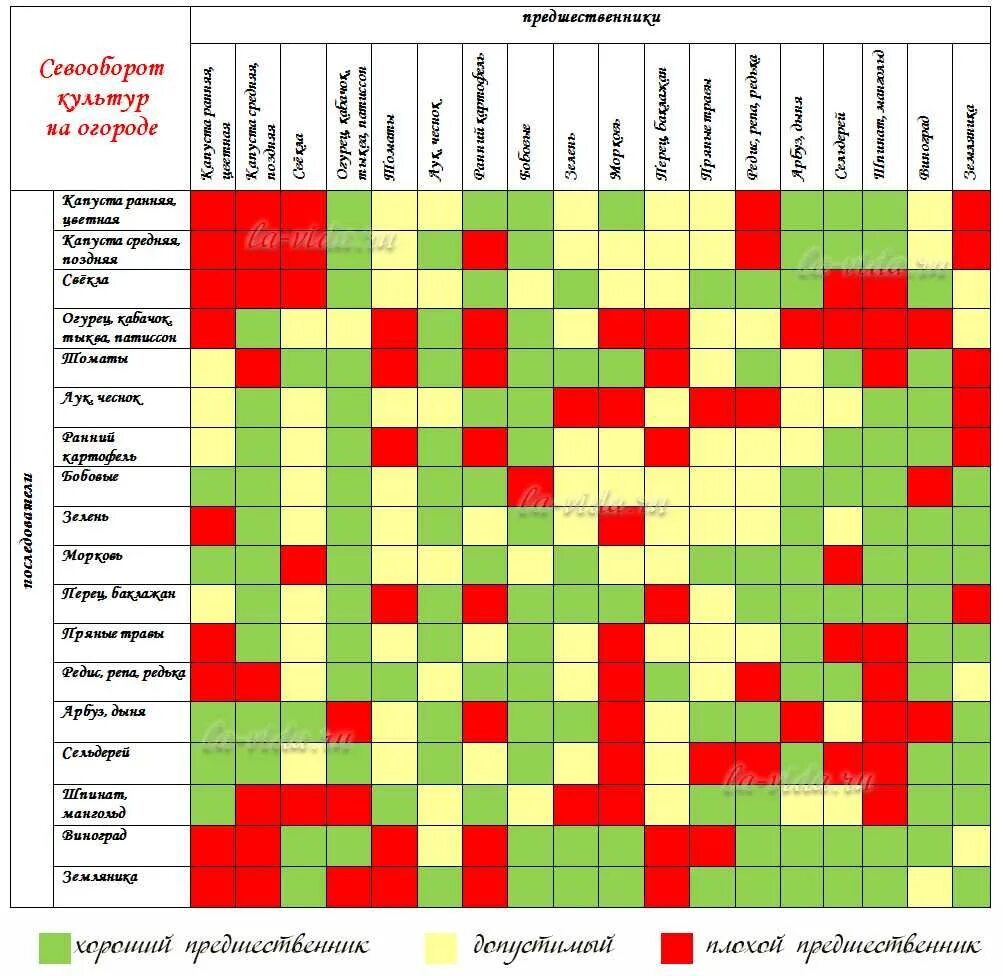 Какие растения нельзя на участке. Таблица севооборота посадки овощей на огороде. Таблица предшественников посадки огородных растений. Чередование посадок овощных культур таблица. Севооборот овощей на грядках таблица совместимости.