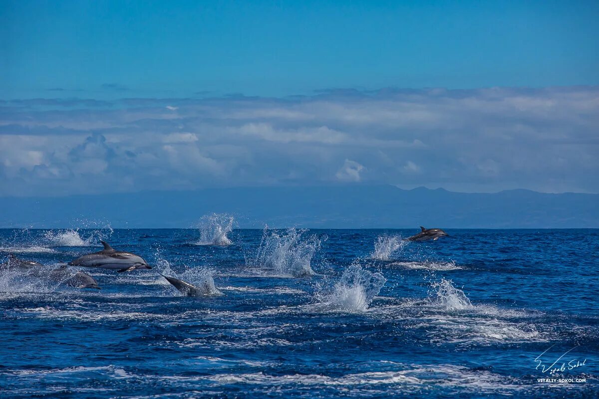 теплые моря атлантического океана. берег атлантического океана португалия. теплые моря атлантического океана. моря атлантического океана. северный атлантический океан на карте.