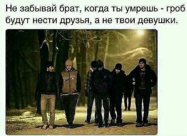 У менясамве лучшие друзья. Не тот твой друг кто за столом. Цитаты волков. Твои забытые друзья. Мой друг никогда мне ничего не объяснял.