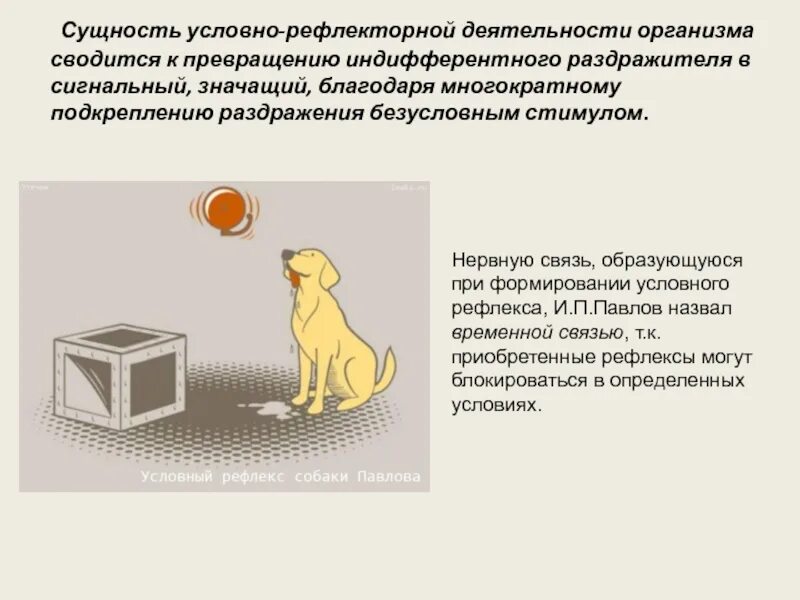 Определение понятия раздражитель. Индифферентный раздражитель это. условно рефлекторная деятельность для презентации. безусловный раздражитель. индифферентные раздражители собак.