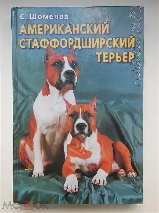 Книга по воспитанию американского стаффордширского терьера. Американский стаффордширский терьер. Амер стаффордширский терьер. Стаффордширский терьер амстафф. Американский стаффордширский терьер черный.